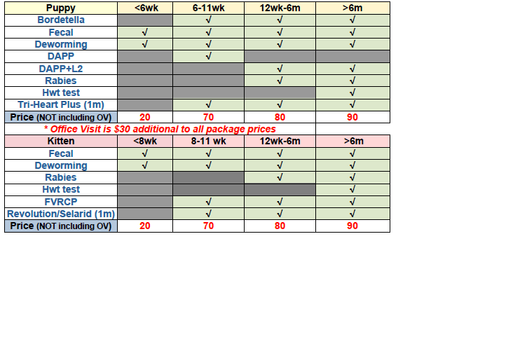 VCare Animal Clinic Your Veterinarian in Cypress, Katy TX Home